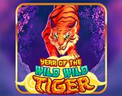 Year Of The Wild Wild Tiger